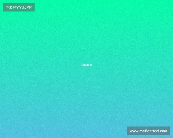 辽宁与山东比赛